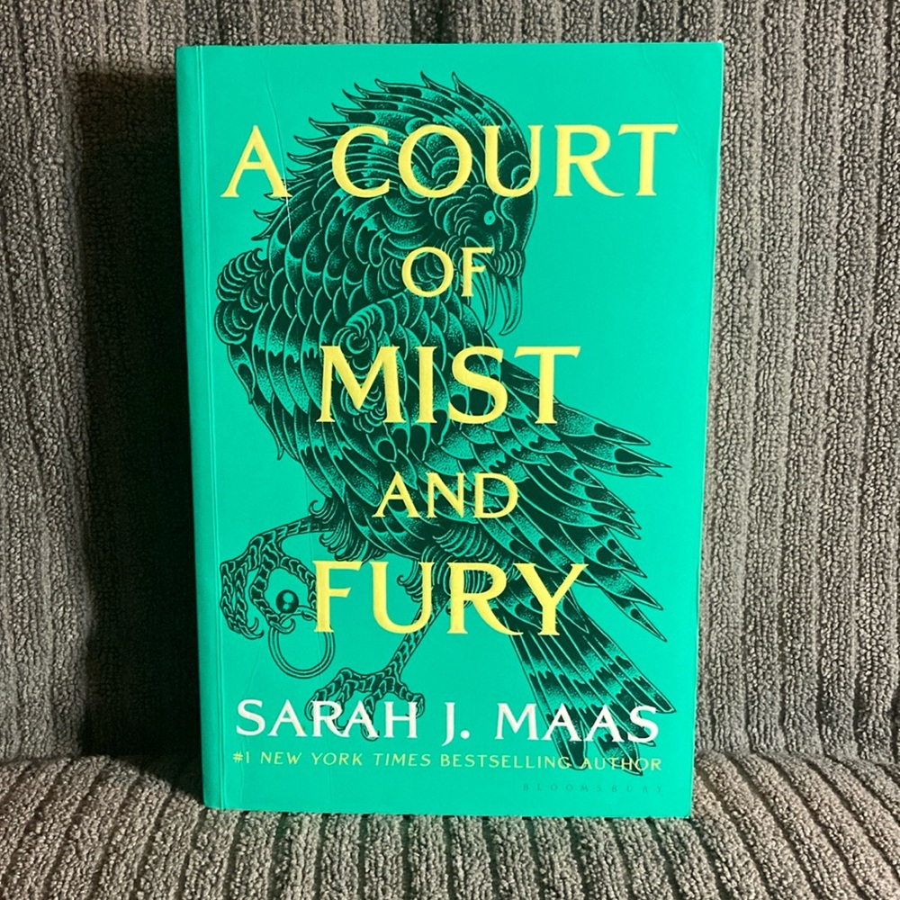 A Court of Mist and Fury Book
